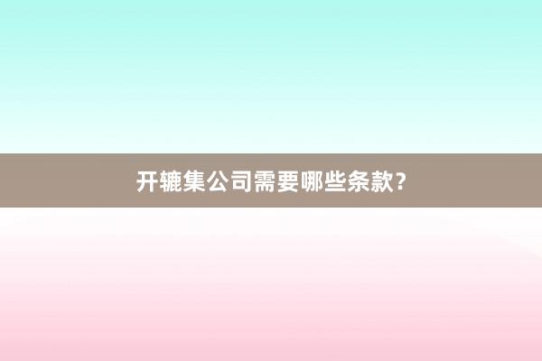 开辘集公司需要哪些条款?