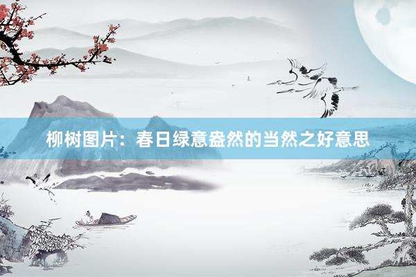 柳树图片：春日绿意盎然的当然之好意思